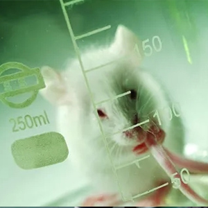 生物相容性測試/評價(jià)